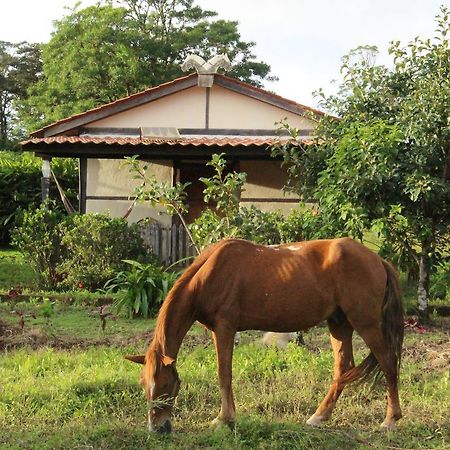 Finca Lindos Ojos Esteli Luaran gambar
